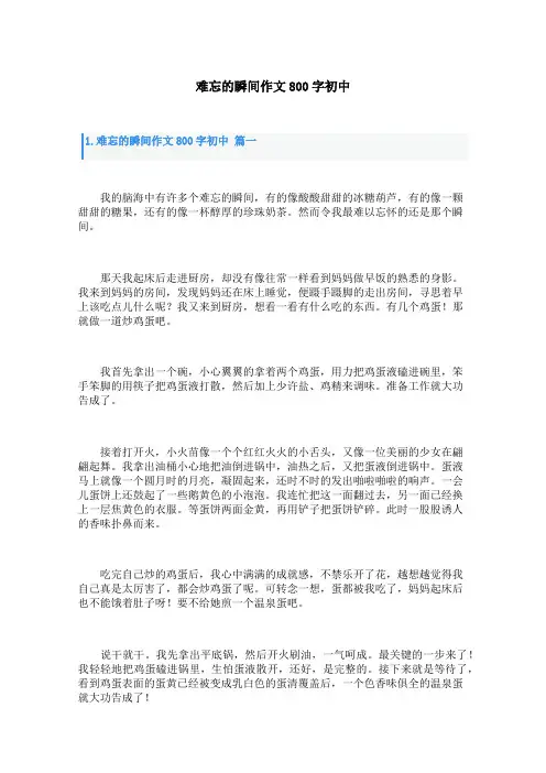 难忘的瞬间作文800字初中