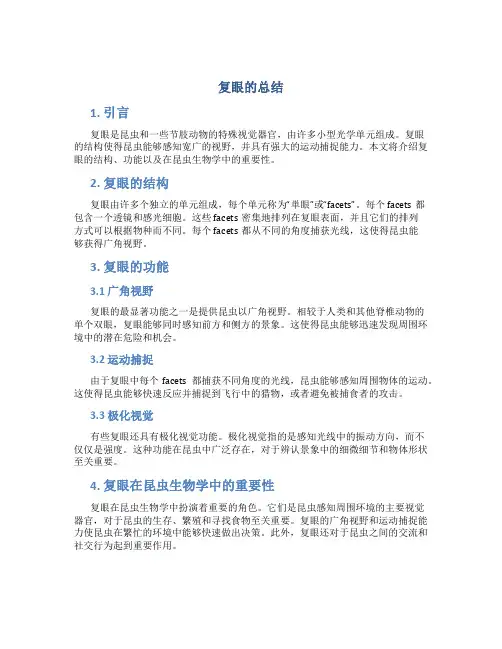 复眼的总结