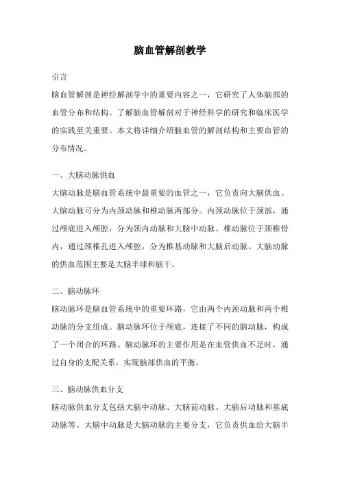 脑血管解剖教学