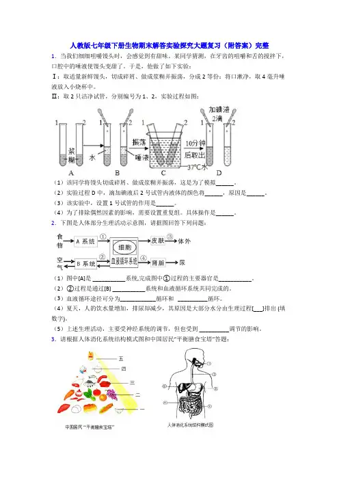 人教版七年级下册生物期末解答实验探究大题复习(附答案)完整