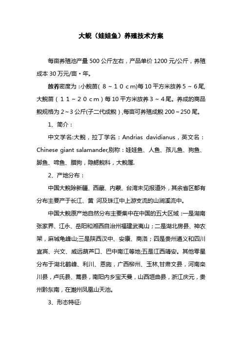 大鲵(娃娃鱼)养殖技术方案