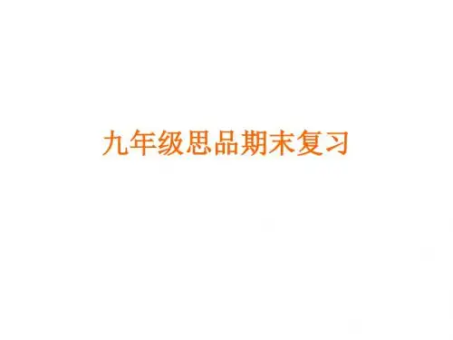 九年级思品期末复习总结
