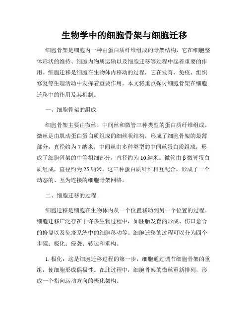 生物学中的细胞骨架与细胞迁移