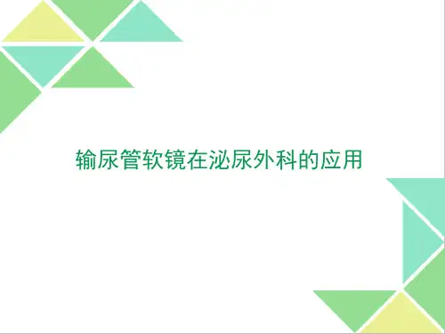 输尿管软镜资料.