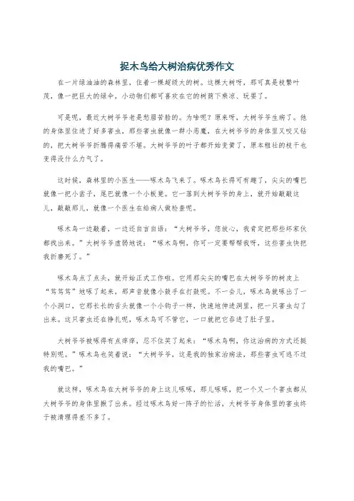 捉木鸟给大树治病优秀作文