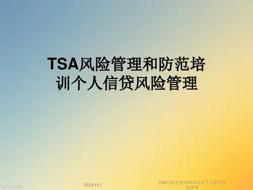 TSA风险管理和防范培训个人信贷风险管理