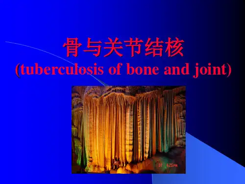 骨与关节结核(5)