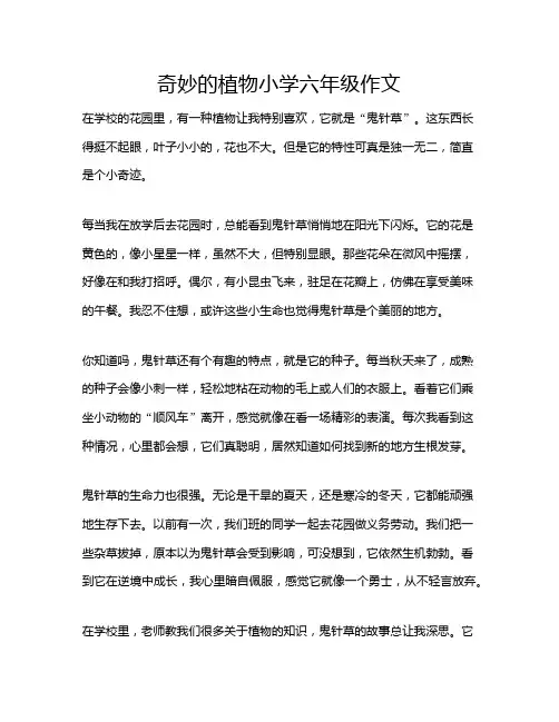 奇妙的植物小学六年级作文