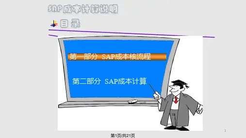 SAPCO成本核算说明PPT课件