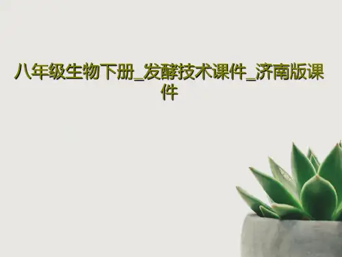 八年级生物下册_发酵技术课件_济南版课件共21页