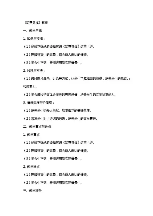 《踏雪寻梅》教案