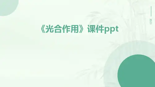 《光合作用》课件ppt