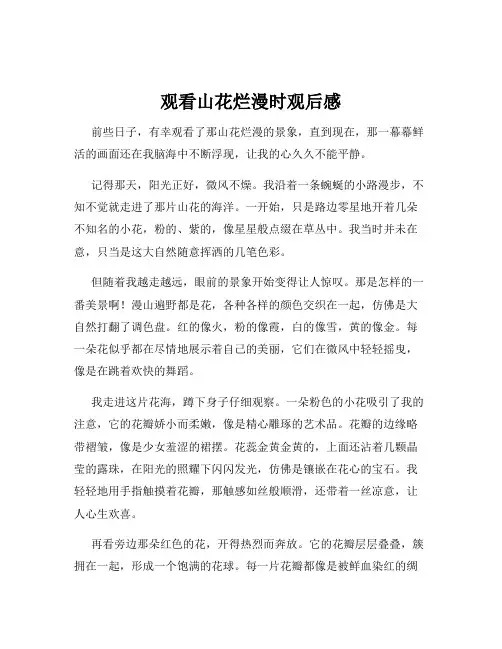 观看山花烂漫时观后感