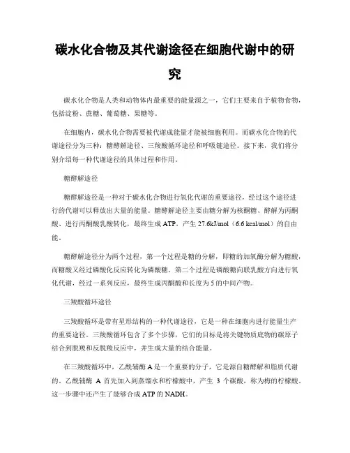 碳水化合物及其代谢途径在细胞代谢中的研究