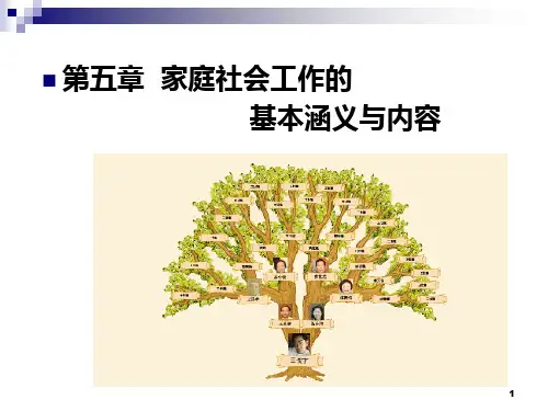 五家庭社会工作的基本涵义与内容PPT课件