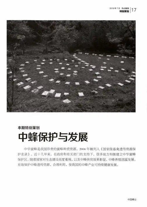 保护和发展中华蜜蜂维护生态平衡