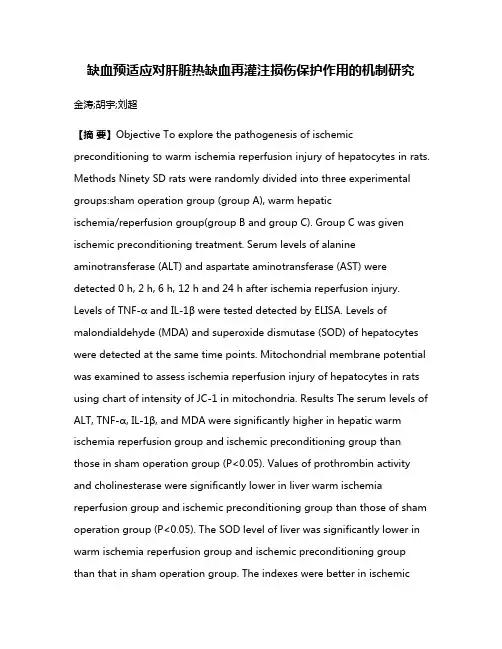 缺血预适应对肝脏热缺血再灌注损伤保护作用的机制研究