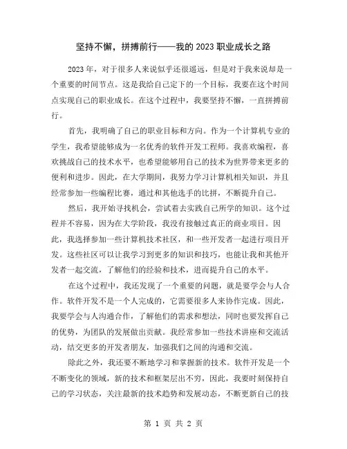 坚持不懈,拼搏前行——我的2023职业成长之路