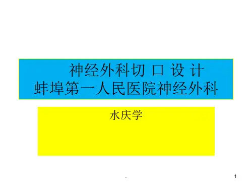 神经外科切口设计PPT课件