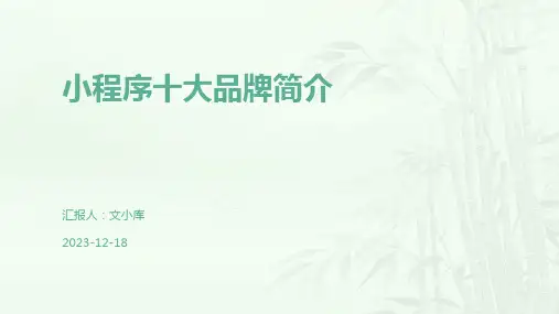 小程序十大品牌简介