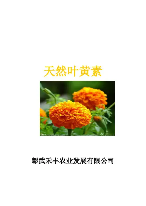 天然叶黄素说明书