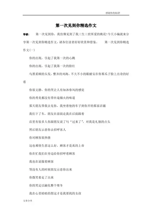 第一次见到你精选作文