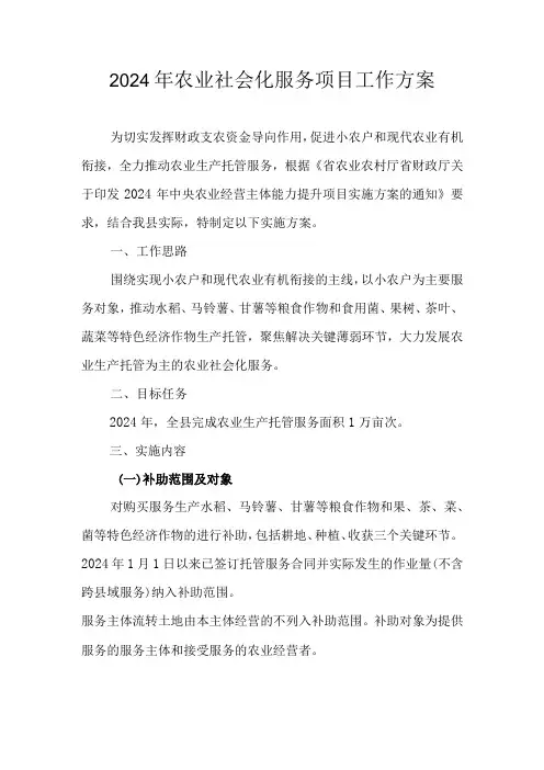 2024年农业社会化服务项目工作方案