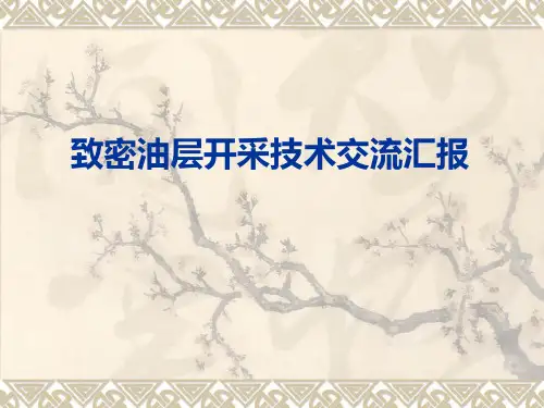 致密油气藏开采技术