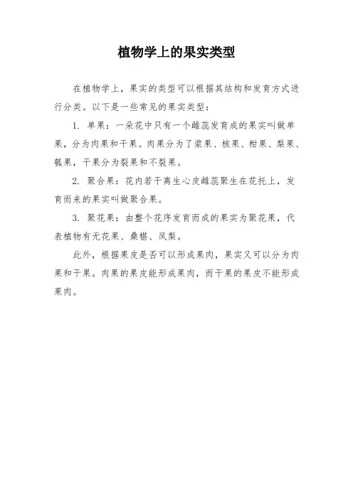 植物学上的果实类型