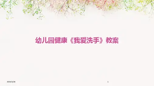 幼儿园健康《我爱洗手》教案-2024鲜版