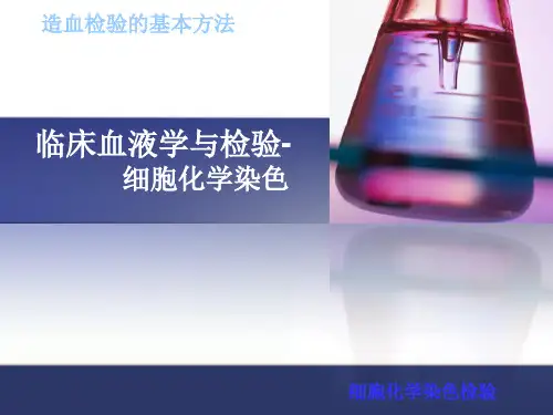 4——细胞化学染色
