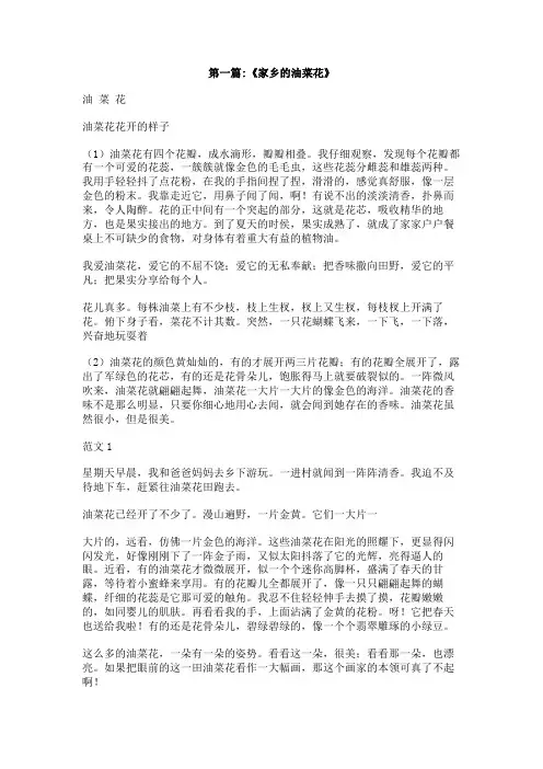 我家乡的油菜花作文