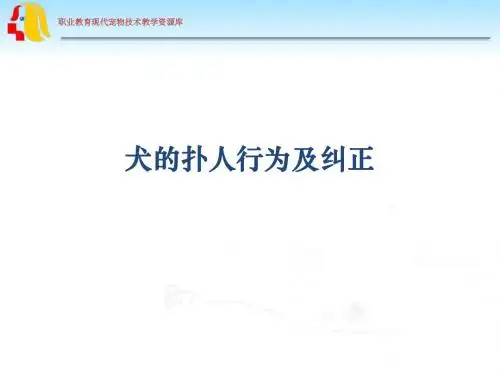 8犬的扑人行为及纠正(精)
