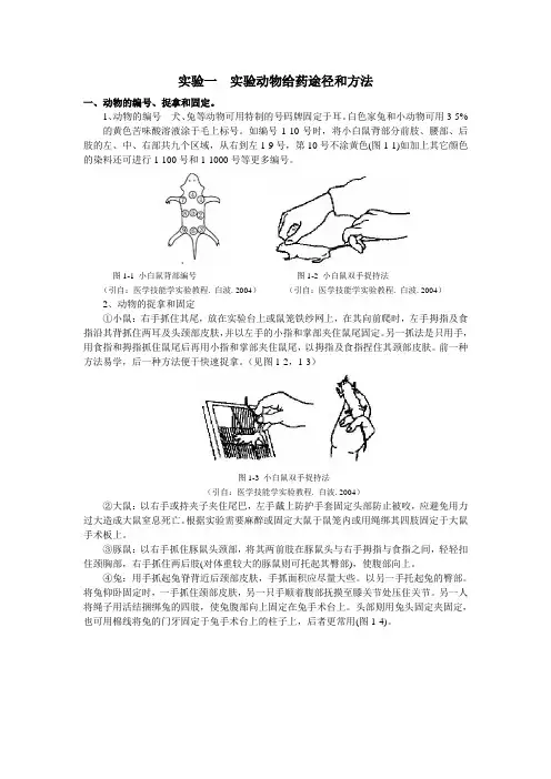 实验一 实验动物给药途径和方法.