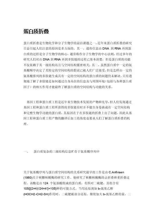 蛋白质折叠——精选推荐