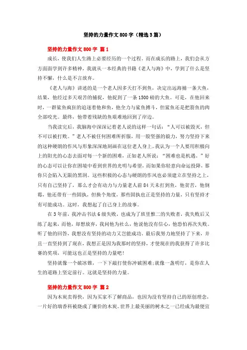 坚持的力量作文800字(精选3篇)