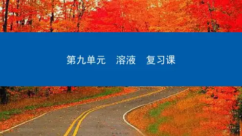 九年级化学下册 第9单元 溶液复习课课件初中