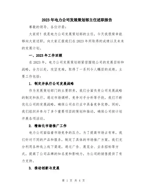 2023年电力公司发展策划部主任述职报告