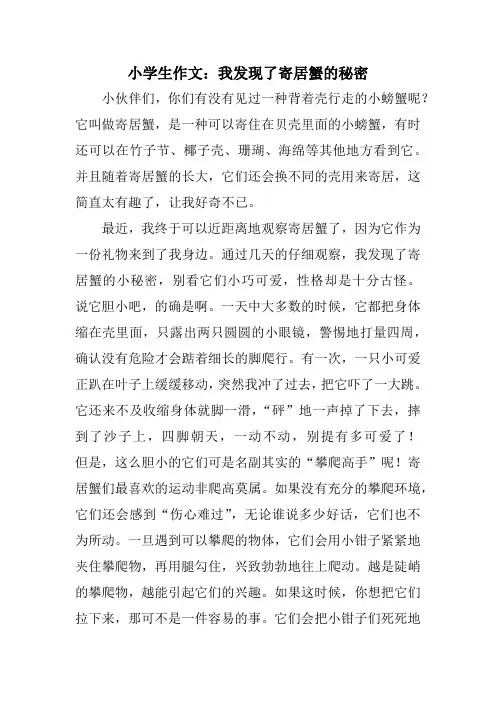 小学生作文：我发现了寄居蟹的秘密