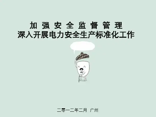 电力安全生产标准化