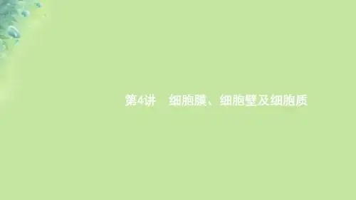(浙江专用)2020版高考生物大一轮复习第二部分细胞的结构4细胞膜、细胞壁及细胞质课件