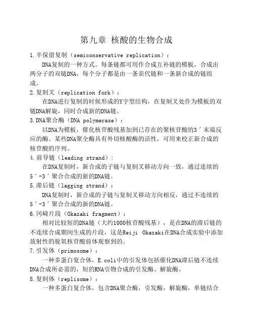 第九章 核酸的生物合成