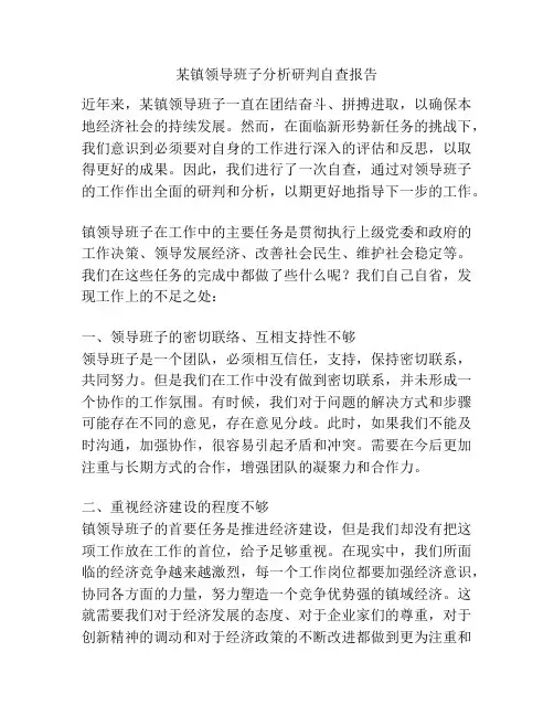 某镇领导班子分析研判自查报告