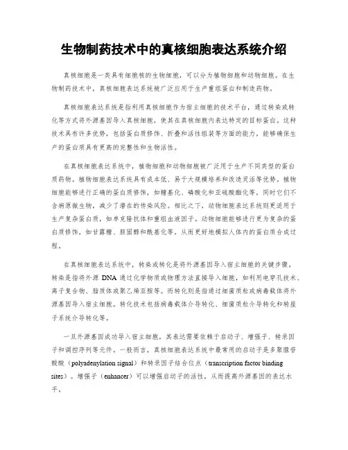 生物制药技术中的真核细胞表达系统介绍