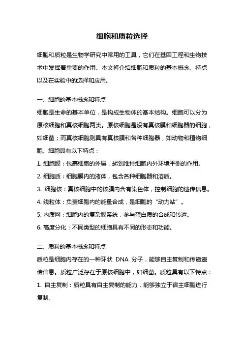 细胞和质粒选择