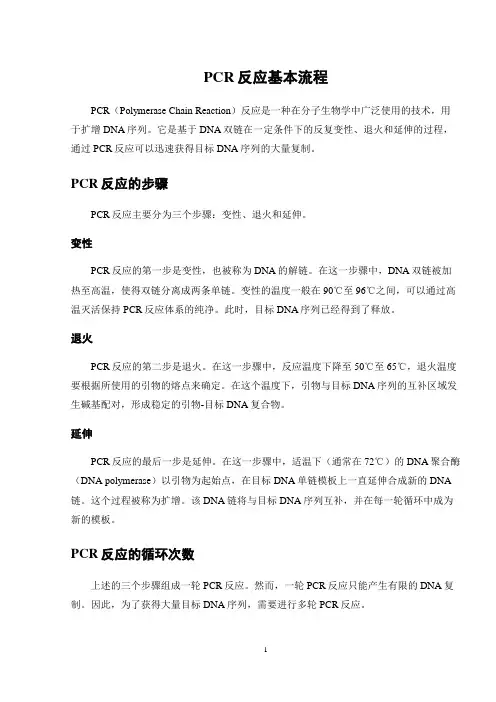 PCR反应基本流程