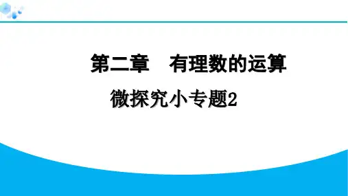 2024年七年级数学上册第二章有理数的运算复习题及答案解析微探究小专题2