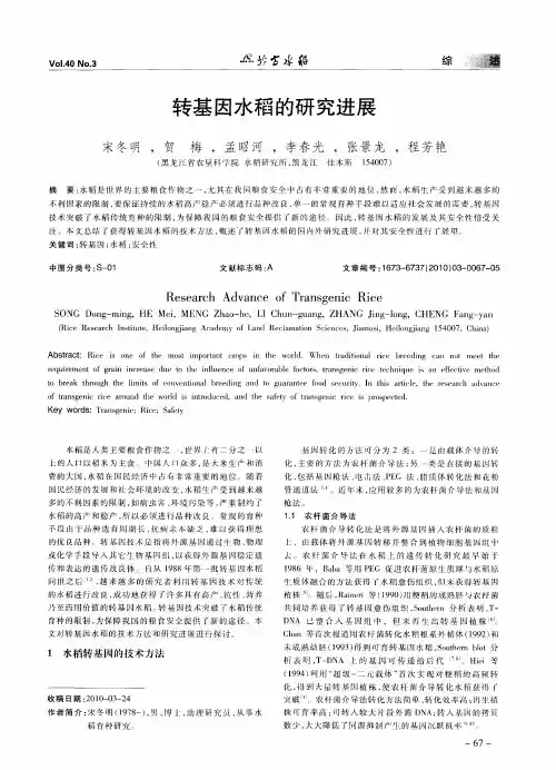 转基因水稻的研究进展
