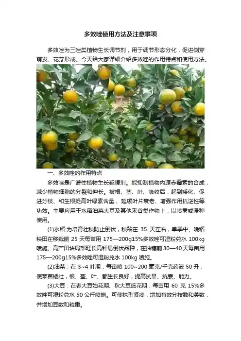 多效唑使用方法及注意事项
