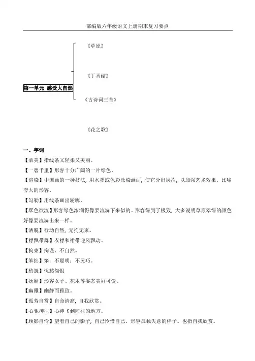 部编版六年级语文上册复习知识点(整理全面)